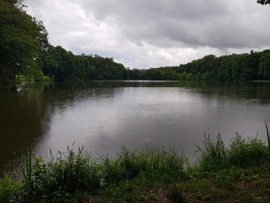 Die Etangs de Bonfol